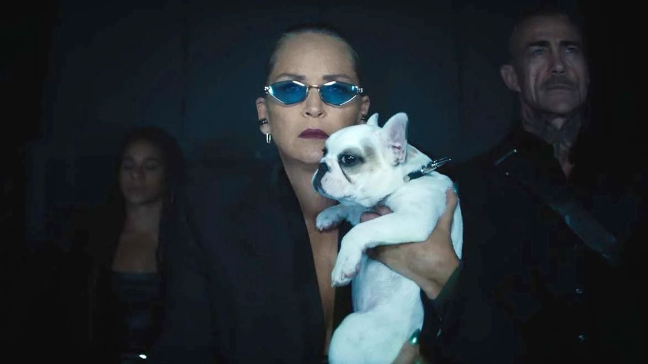 Sharon Stone und ihr süßer Vierbeiner in „Nobody 2“.