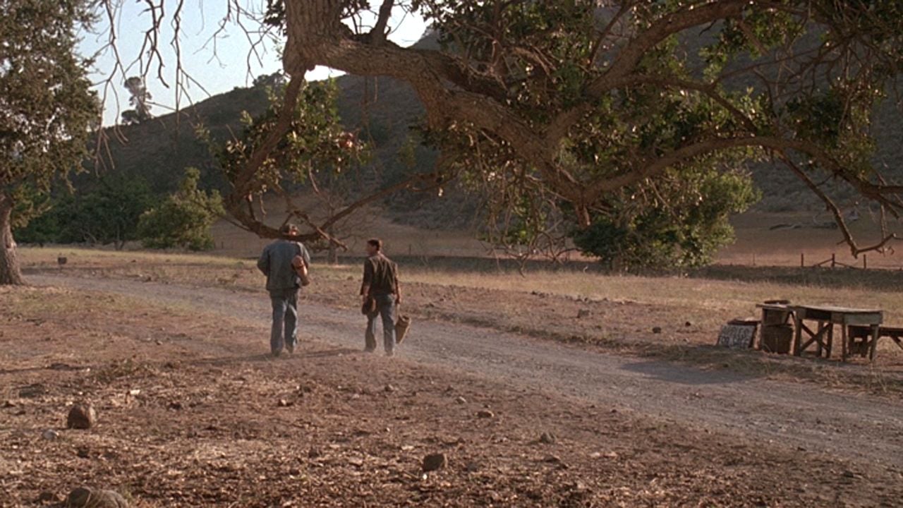 Esta noche, asegúrate de transmitir: ¡Esta adaptación cinematográfica de la literatura, que es muy subestimada, romperá tu corazón!