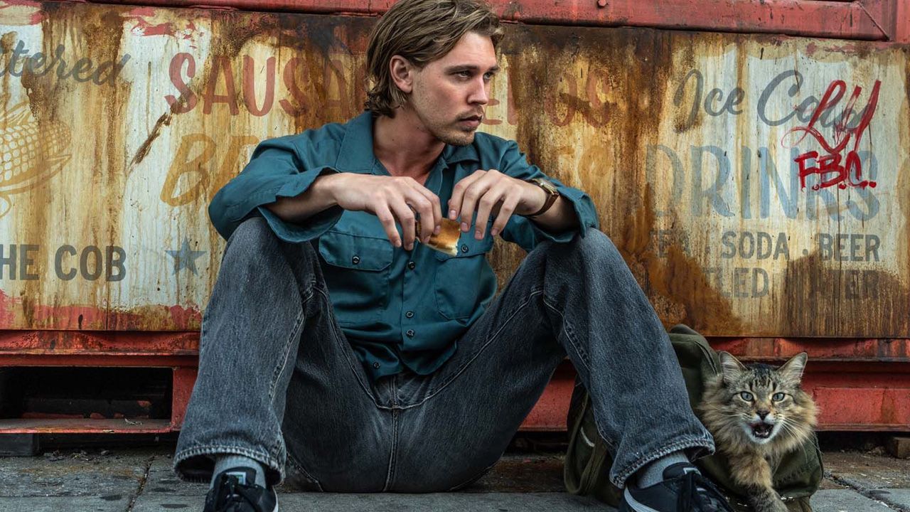 Neben Austin Butler ist auch die Katze ein Highlight - für Fragen zu ihr war leider keine Zeit mehr.