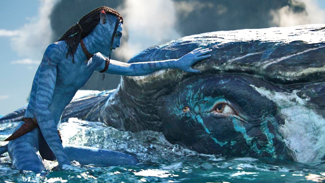 Nur die Trailer zu "Avatar 3", "Wicked 2" und Co. im Kino schauen? Das geht jetzt wirklich!