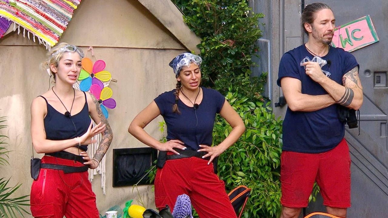 Ariel, Eva und Gil müssen sich diesmal der Dschungelprüfung stellen.