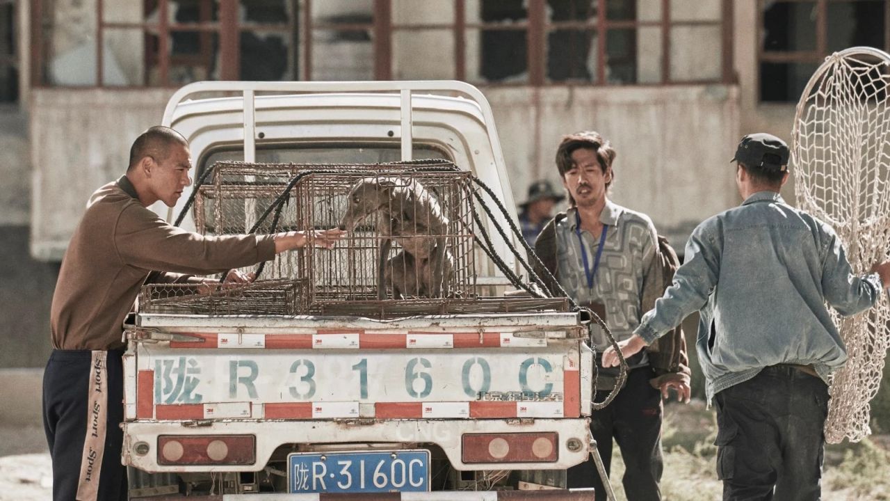 Seit Wochen wird der schwarze Hund gejagt. Aber erst  Lang (Eddie Peng) hat Erfolg.