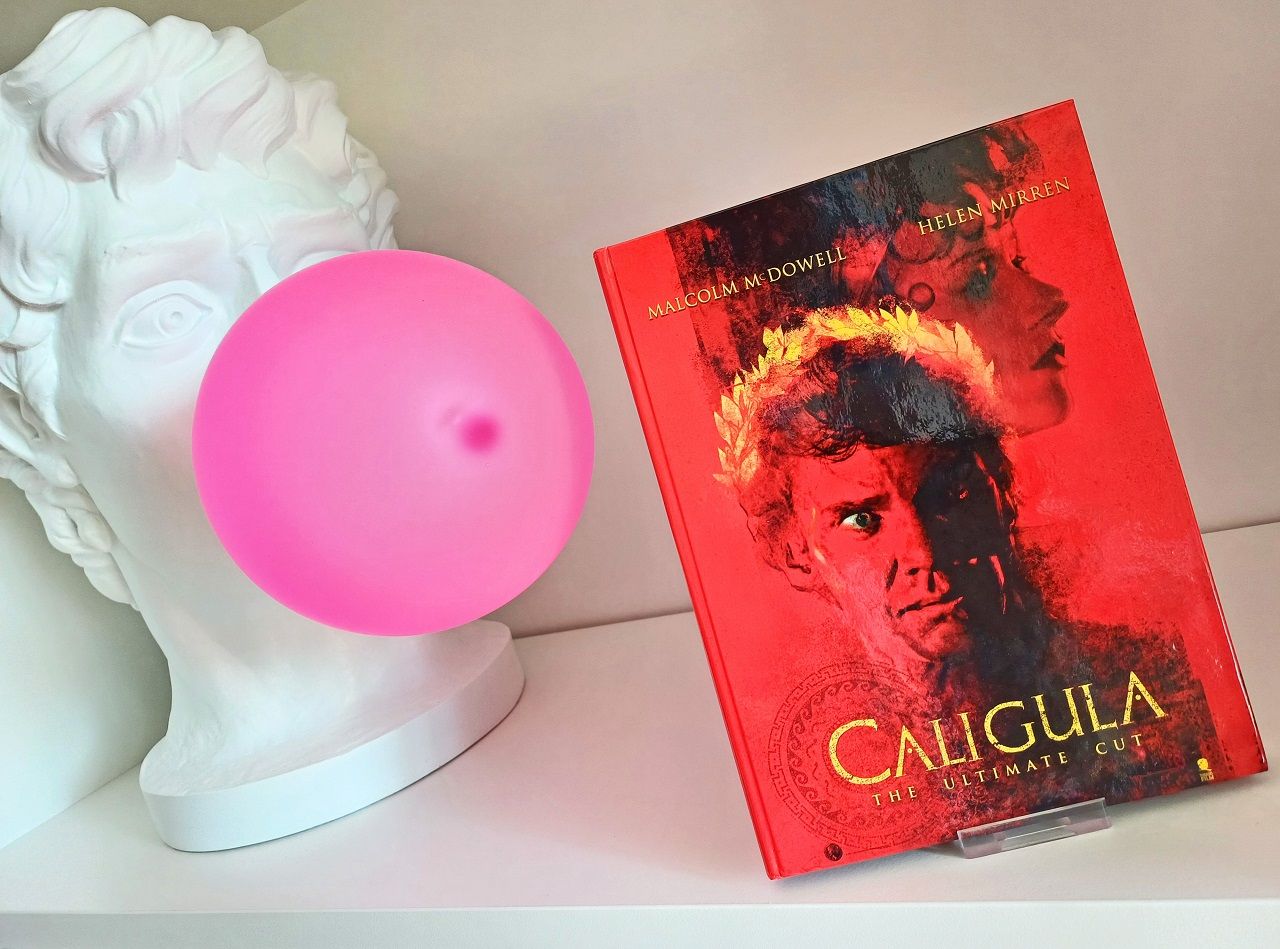 Ein Hingucker im Regal: 