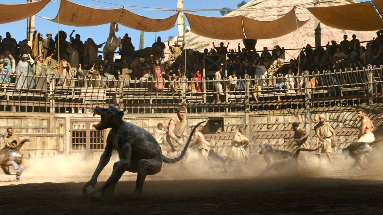 Der Pavian mit Alopecia