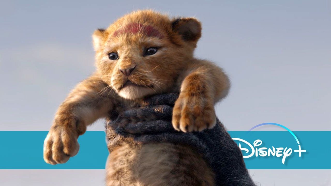 Nach "Mufasa": Neues "König der Löwen"-Abenteuer angeblich in Arbeit – kommt jetzt die Geschichte von Kiara & Kovu ins Kino?