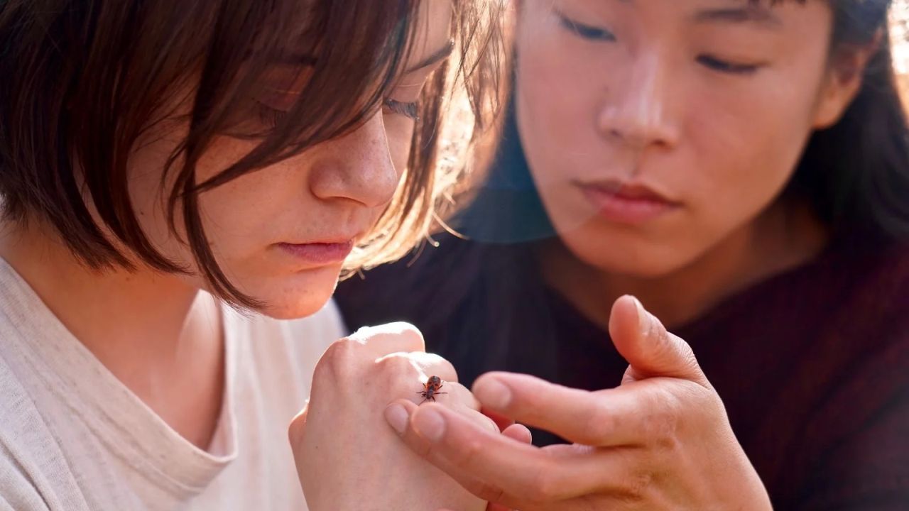 Zwischen den Protagonistinnen entwickelt sich eine vorsichtige Freundschaft, obwohl sie doch ganz unterschiedlich auf die Welt blicken.