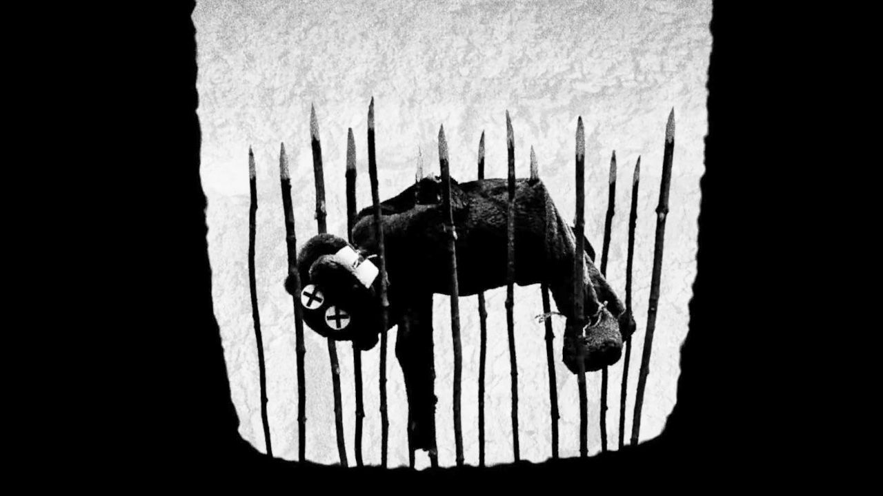 Wie ein Indie-Hit die Grenzen des Kinos sprengt: Das große FILMSTARTS-Interview zum Kultfilm des Jahres – "Hundreds Of Beavers"!