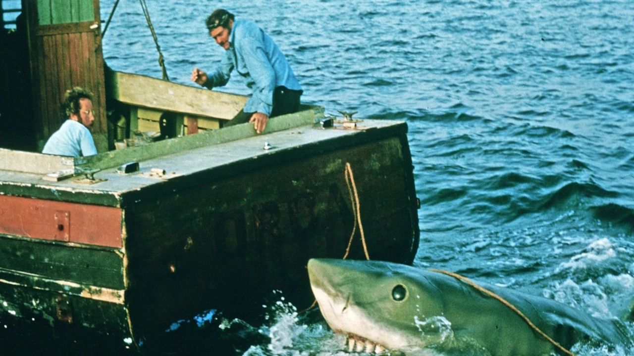 Orca vs. Hai: Der Fischkutter schützt vor dem biestigen Ungeheuer