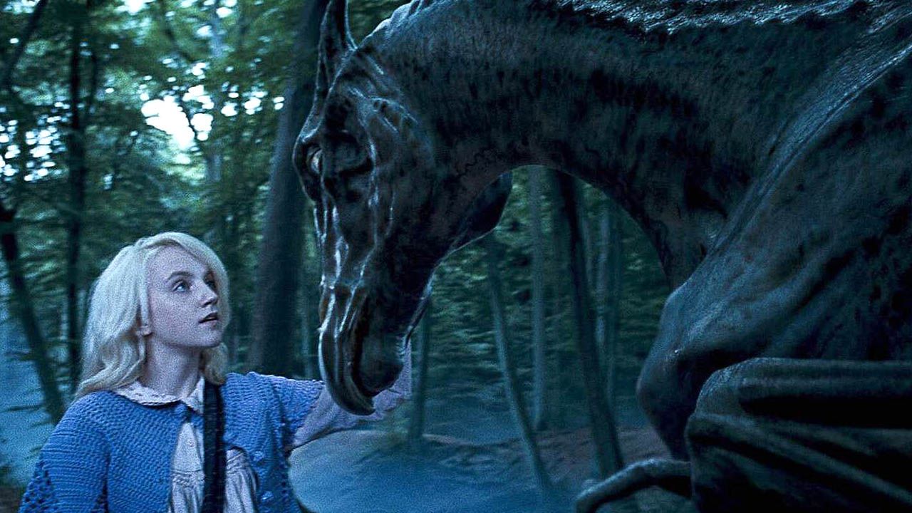 Luna Lovegood (Evanna Lynch) ist eine der wenigen anderen außer Harry, die die Thestrale sehen können.