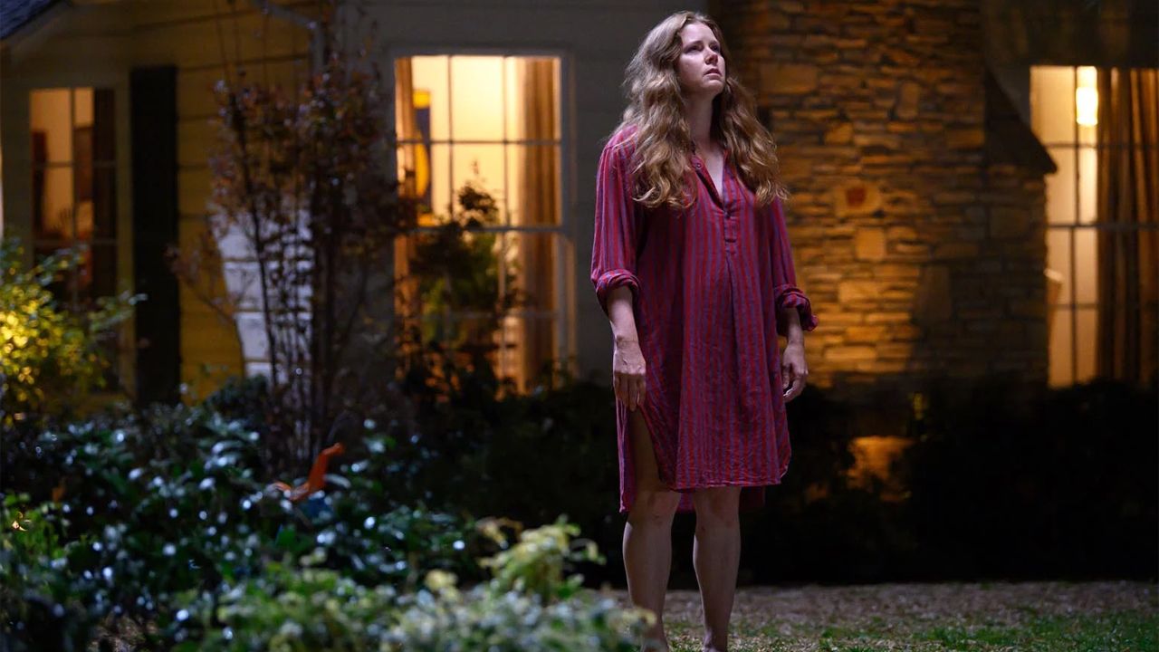 Nachts verändert sich die von Amy Adams gespielte Titelfigur...