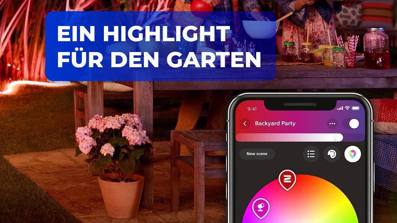 Artikel Bild