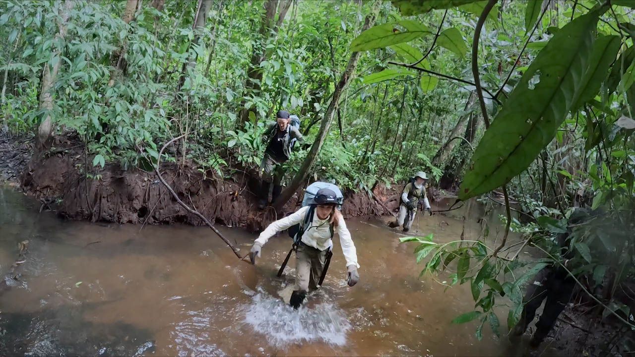 Staffel 5 kam leider bei den Fans gar nicht gut an.