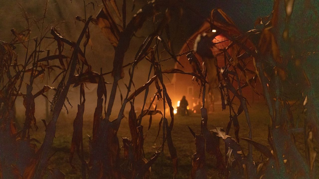 Das titelgebende Maisfeld wirkt auch schon ohne Horror-Clown ziemlich gespenstig… 