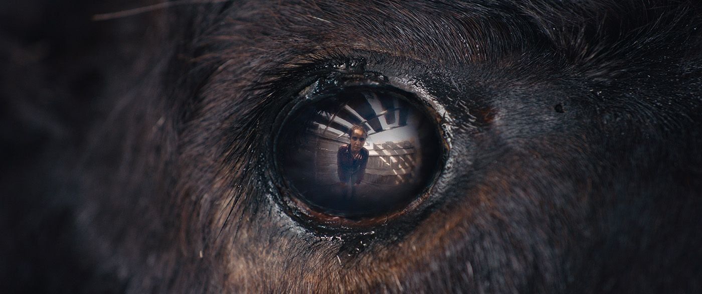 Nejma (Oulaya Amamra) und der Stier stehen sich Auge in Auge gegenüber.