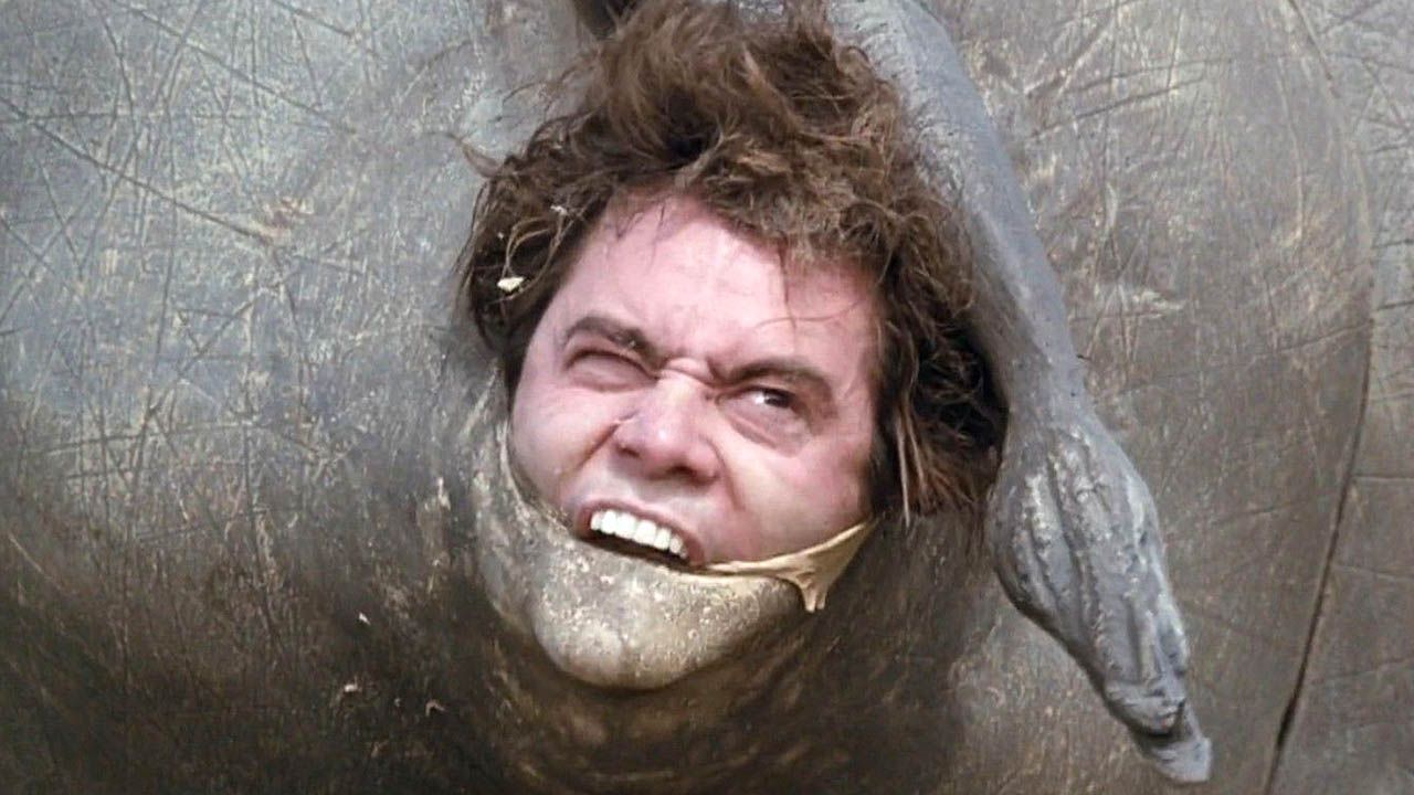 "Seitdem trete ich mir selbst in den Hintern": Jim Carrey bereut seit 30 Jahren, dass er einen absoluten Kult-Regisseur abgelehnt hat