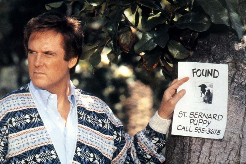 Bild von Ein Hund namens Beethoven Bild 11 auf 19