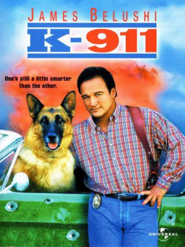 K9 Mein Partner Mit Der Kalten Schnauze Mein Partner mit der kalten Schnauze 2 - Film 1999 - FILMSTARTS.de