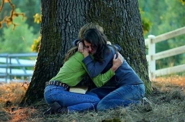 Foto zum Film Das vergessene Pferd - Saving Winston - Bild 4 auf 7 ...