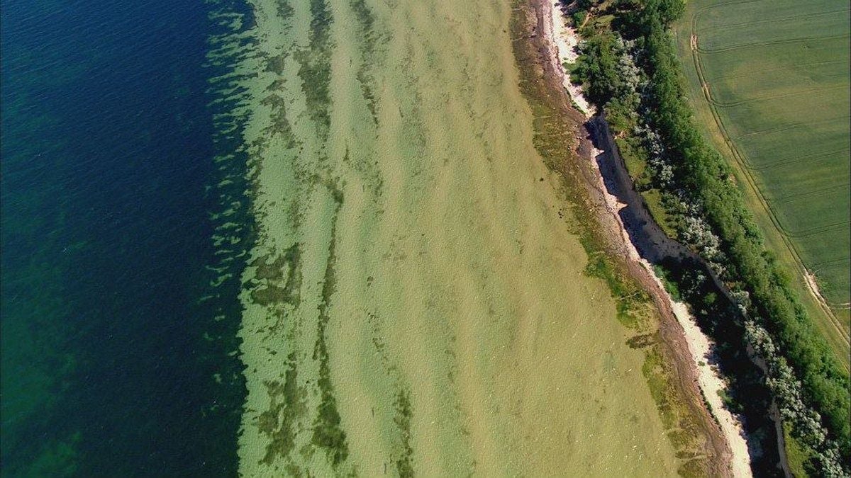 Bild von Die Ostsee von oben Bild 11 auf 17 FILMSTARTS.de