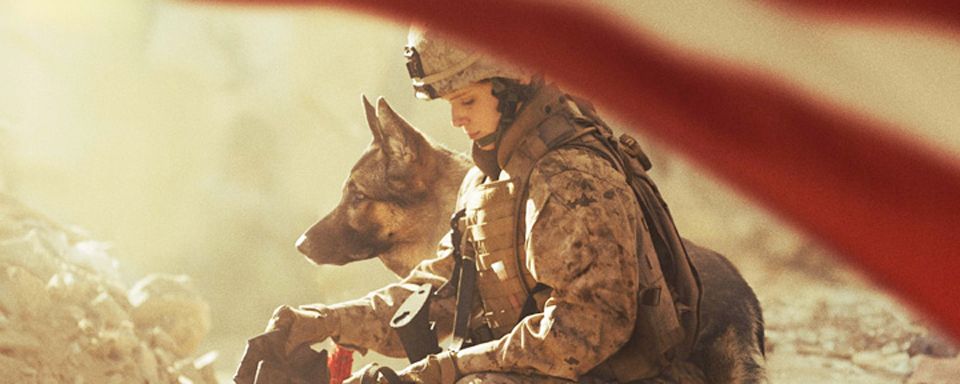 Megan leavey trailer deutsch
