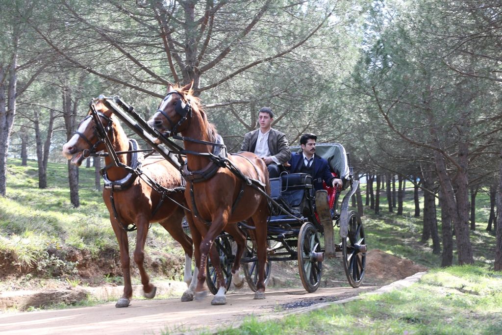 Bildergalerie Çalıkuşu Bild 1 von 27 FILMSTARTS.de