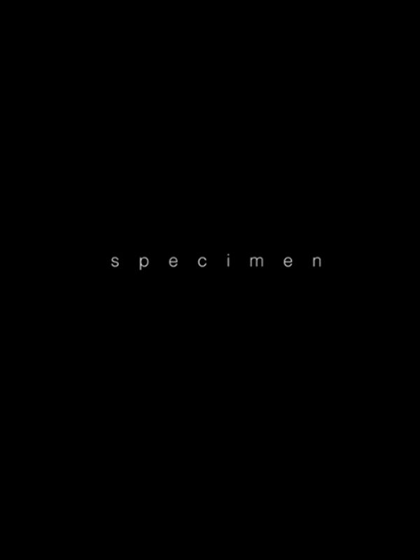 Specimen Film 2017 FILMSTARTS.de