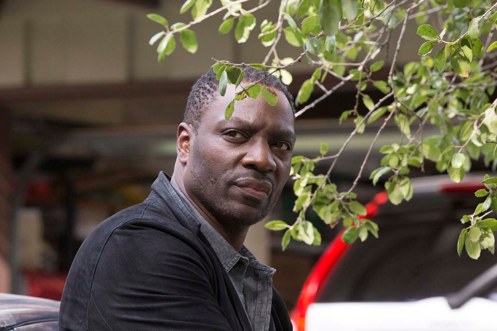 Bild zu Adewale AkinnuoyeAgbaje Bild Adewale AkinnuoyeAgbaje