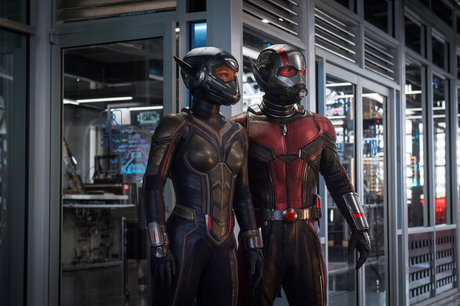 Bild zu Evangeline Lilly AntMan And The Wasp Bild Evangeline Lilly