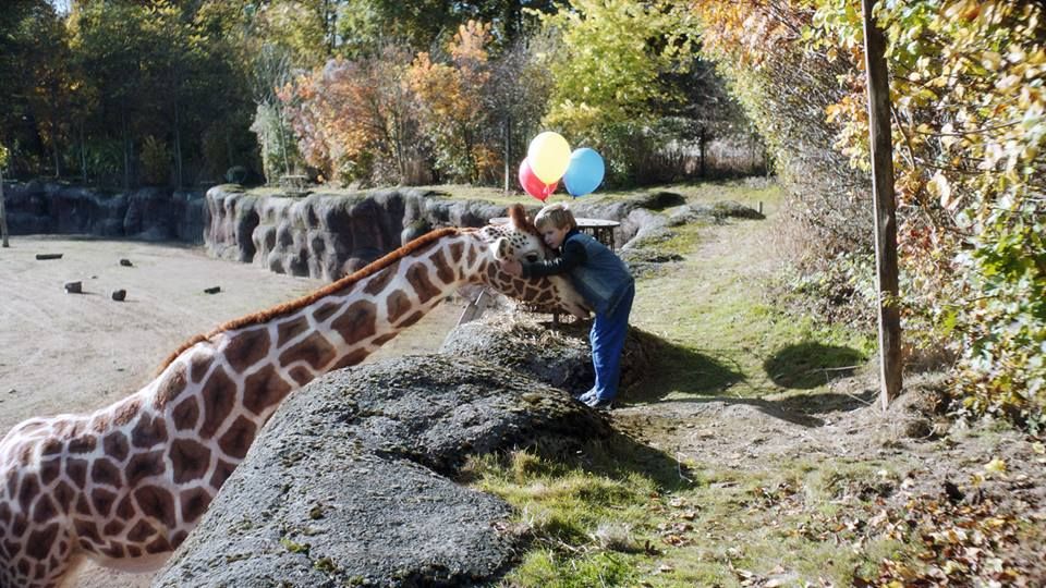 Foto zum Film Mein Freund, die Giraffe Bild 2 auf