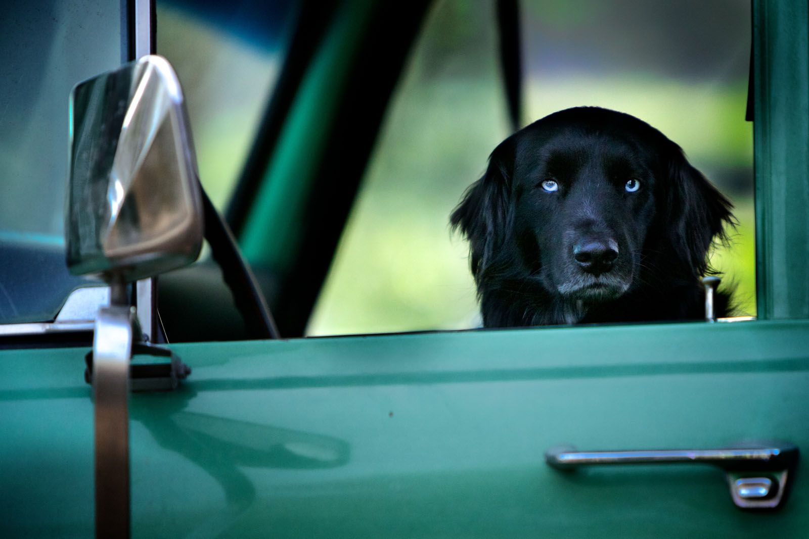 Foto zum Film Unsere große kleine Farm Bild 6 auf 30 FILMSTARTS.de