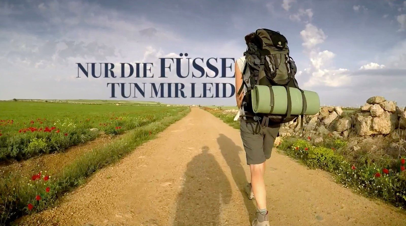 Nur Die Fsse Tun Mir Leid