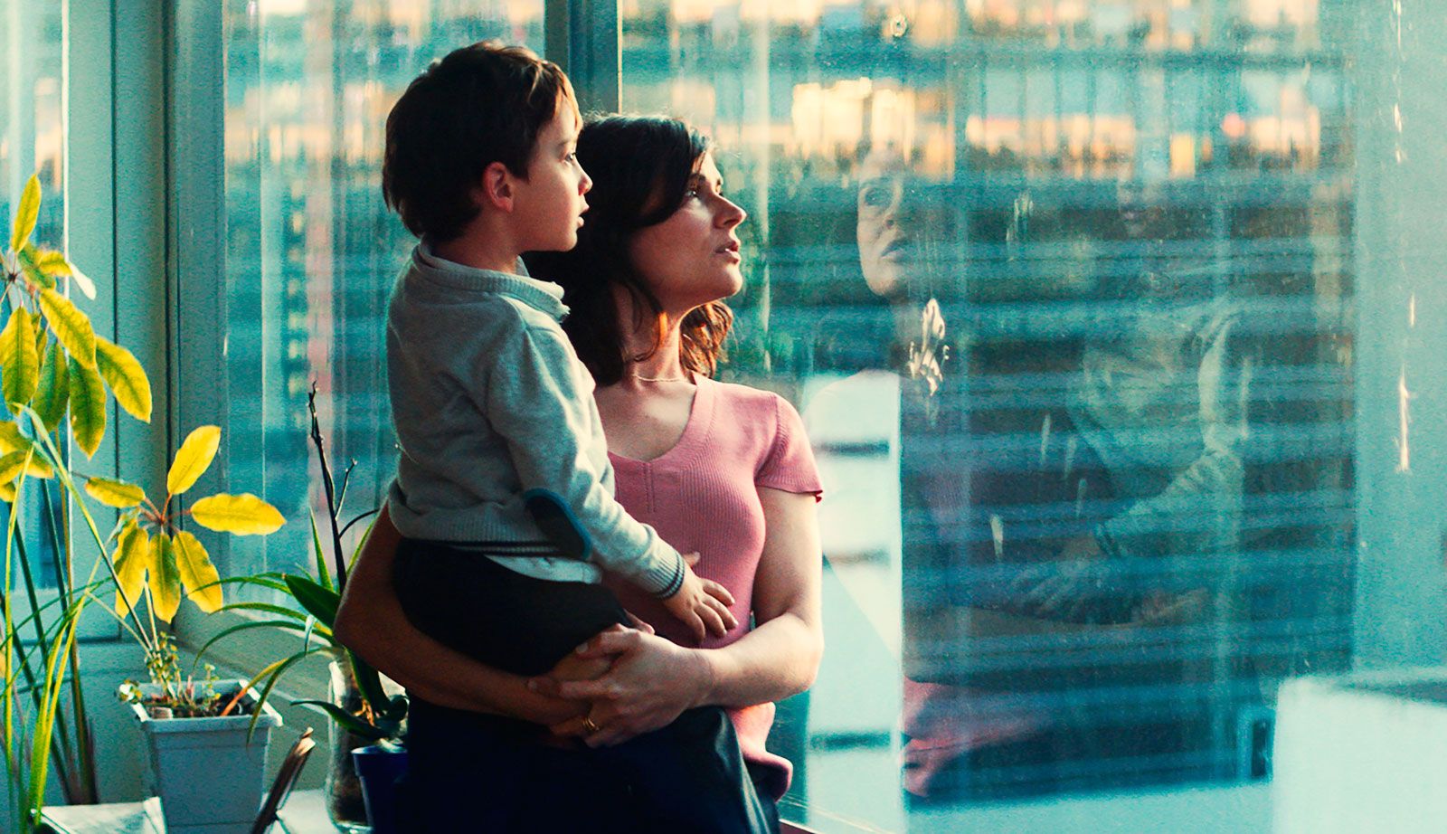 Foto zum Film Litigante Bild 1 auf 11 FILMSTARTS.de