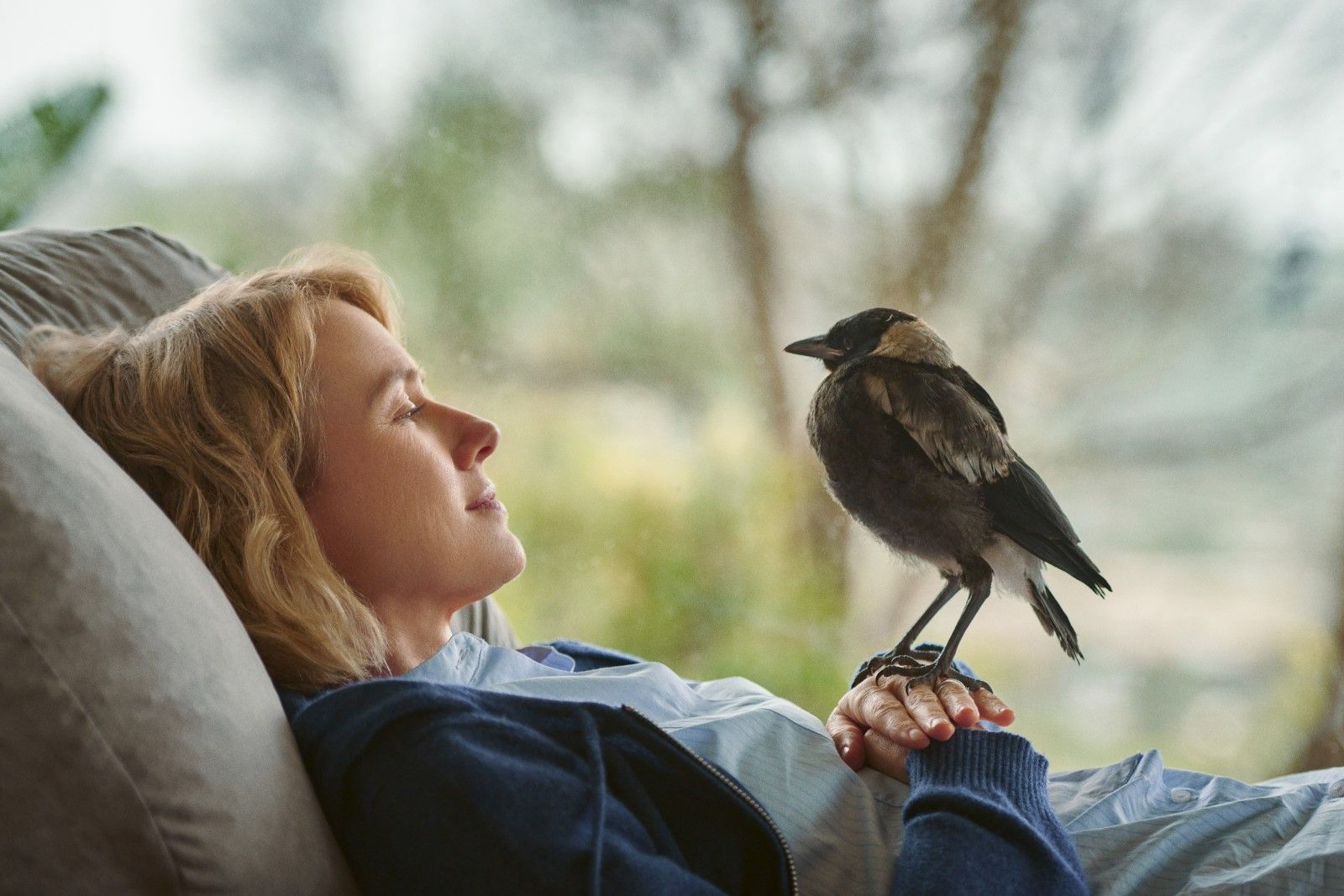 Bild zu Naomi Watts Beflügelt Ein Vogel namens Penguin Bloom Bild Naomi Watts FILMSTARTS.de