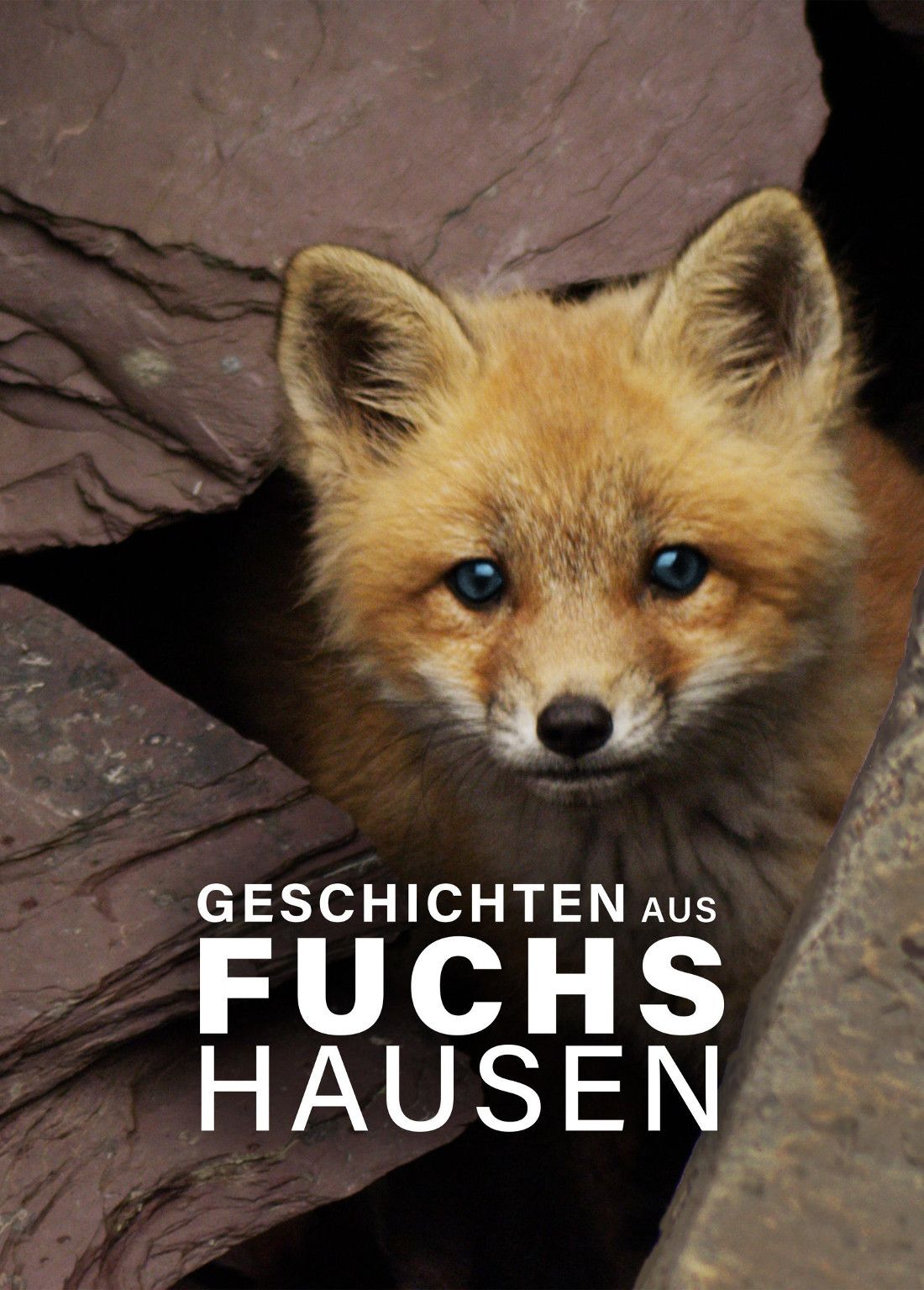 Geschichten aus Fuchshausen Dokumentarfilm 2017 FILMSTARTS.de