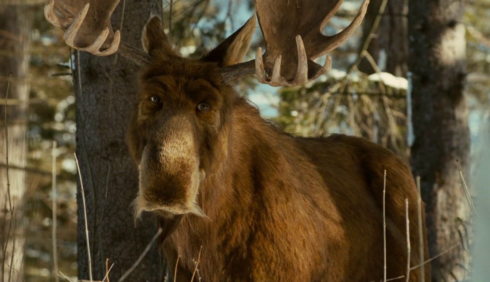 Foto zum Film Es ist ein Elch entsprungen Bild 3 auf 25 FILMSTARTS.de