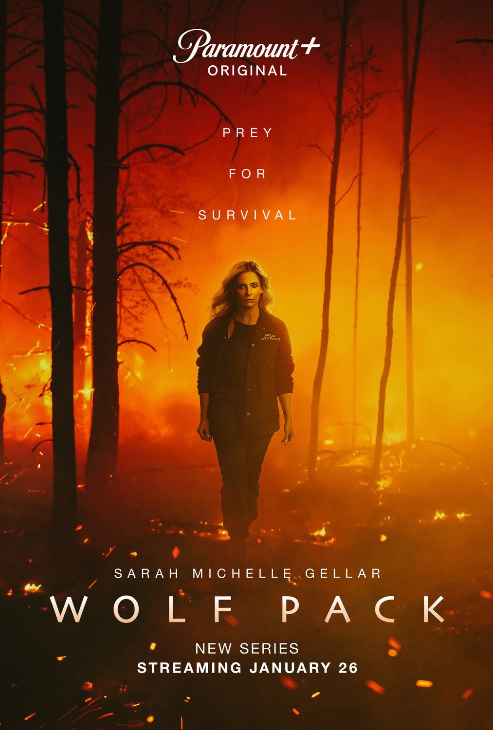 Wolf Pack TVSerie 2023 FILMSTARTS.de