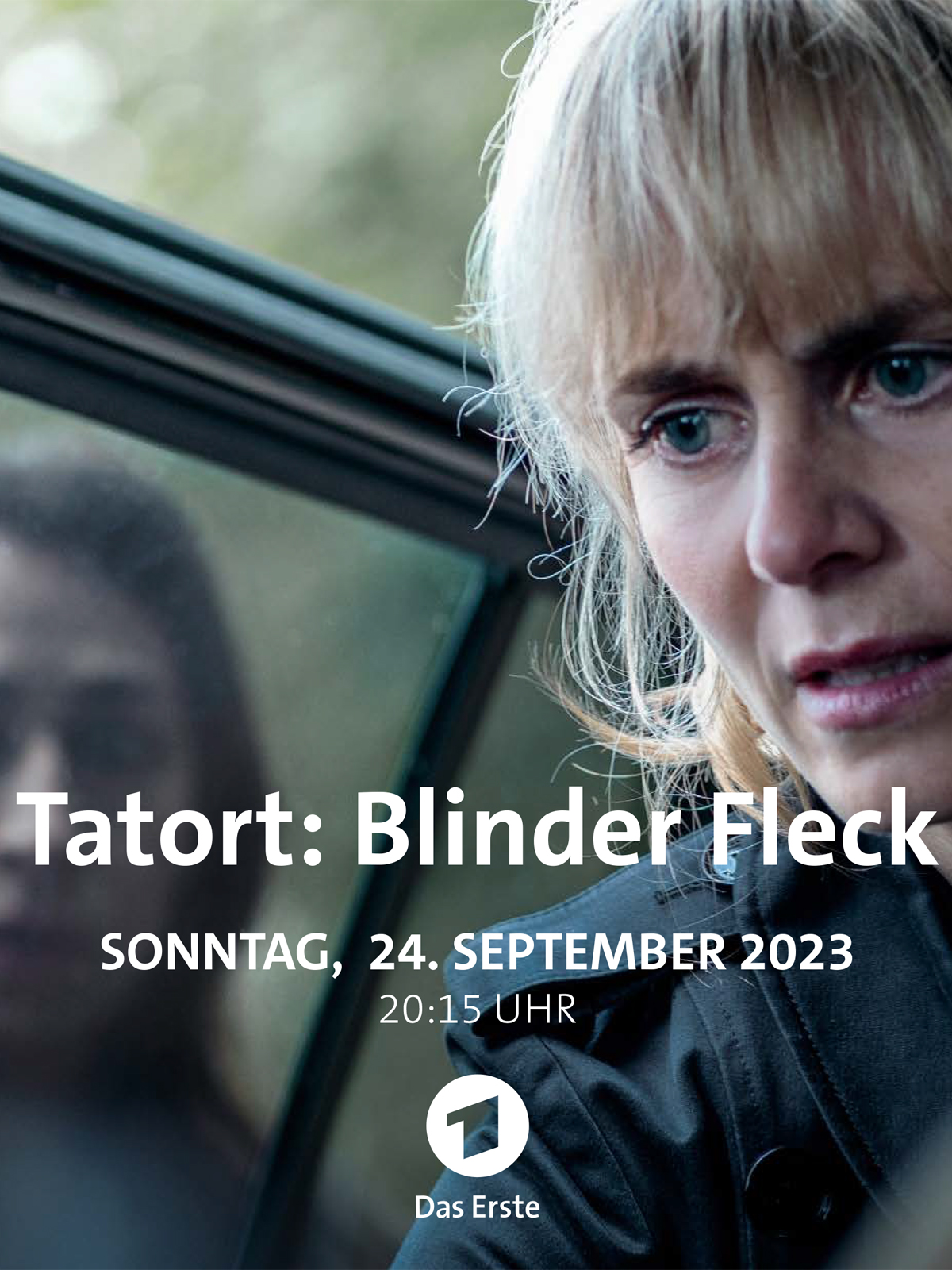 Poster Zum Film Tatort Blinder Fleck Bild 1 Auf 1 Filmstartsde 