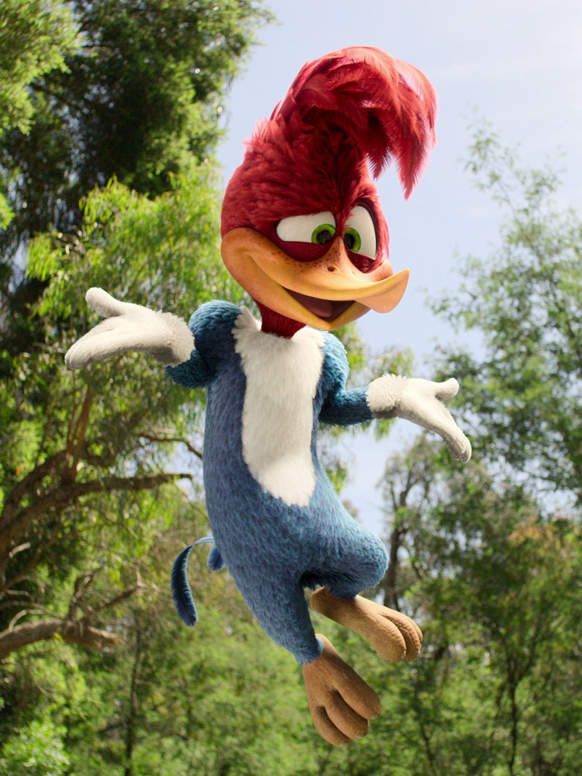 Woody Woodpecker geht ins Camp Bilder und Fotos FILMSTARTS.de