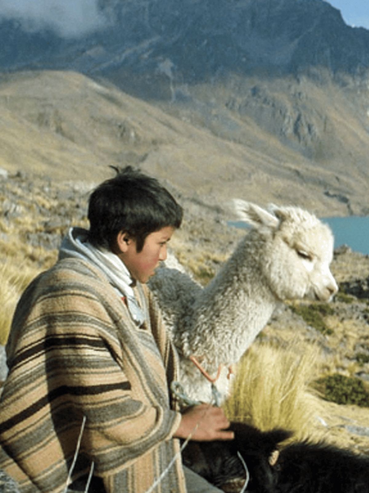 Raíz Film 2024 FILMSTARTS.de