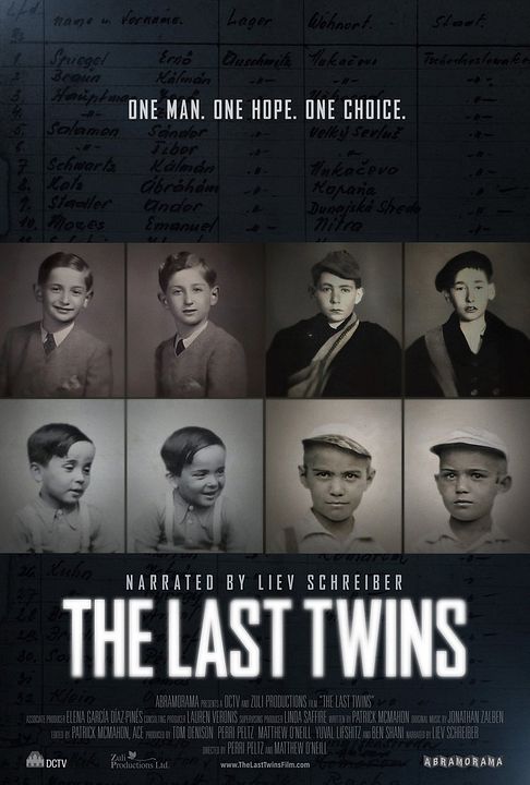 The Last Twins : Kinoposter