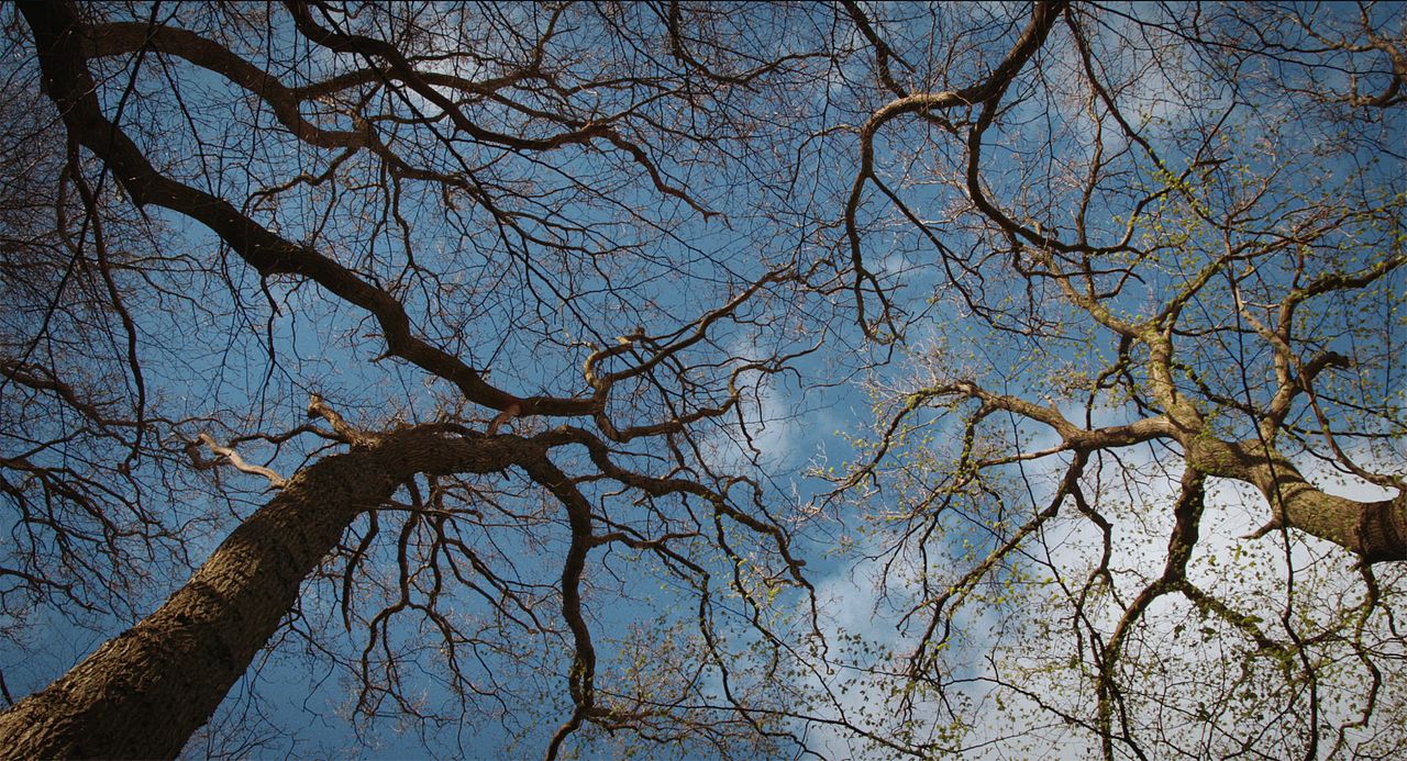 Das Ungesagte : Bild