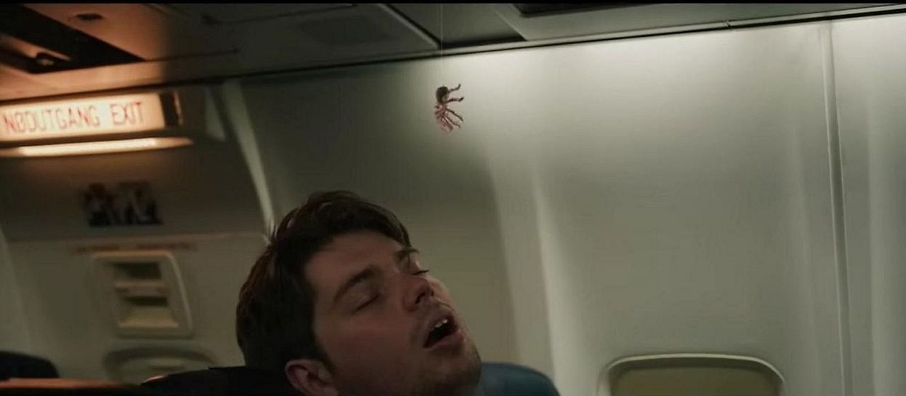 Spiders On A Plane : Bild