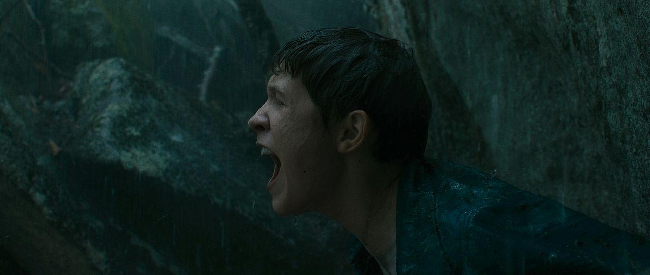 Verloren in der Wildnis : Bild Luke David Blumm