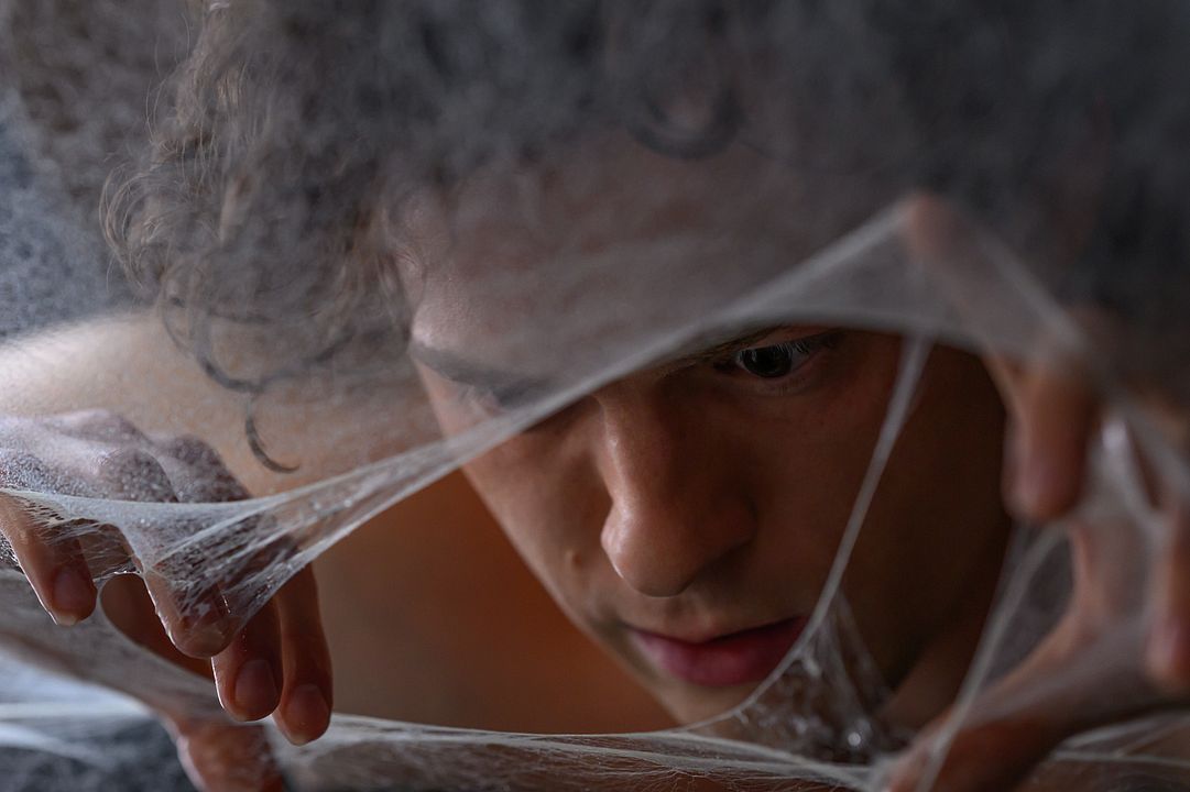 Spider-Man 4: Brand New Day : Bild Tom Holland