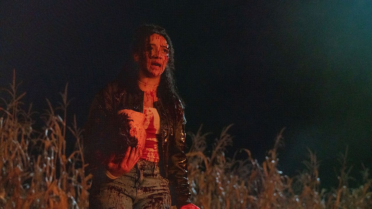 Clown In A Cornfield : Bild