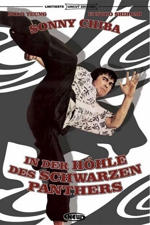 In der Höhle des schwarzen Panthers : Kinoposter
