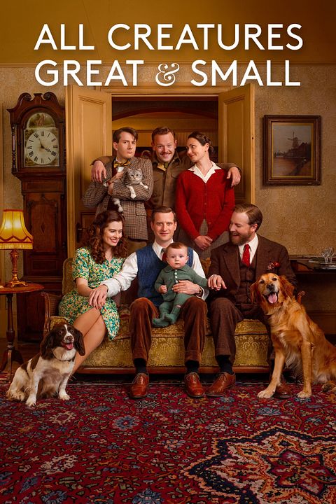 Der Doktor und das liebe Vieh : Kinoposter