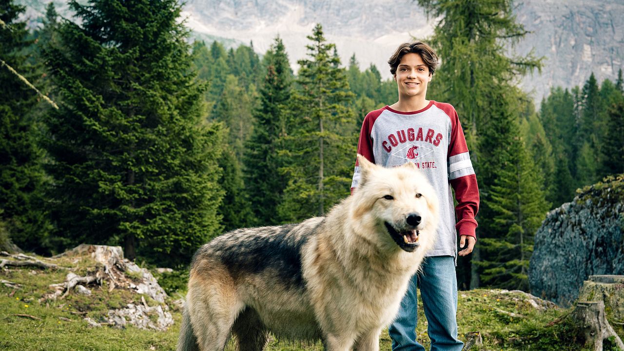 Woodwalkers 2 : Bild