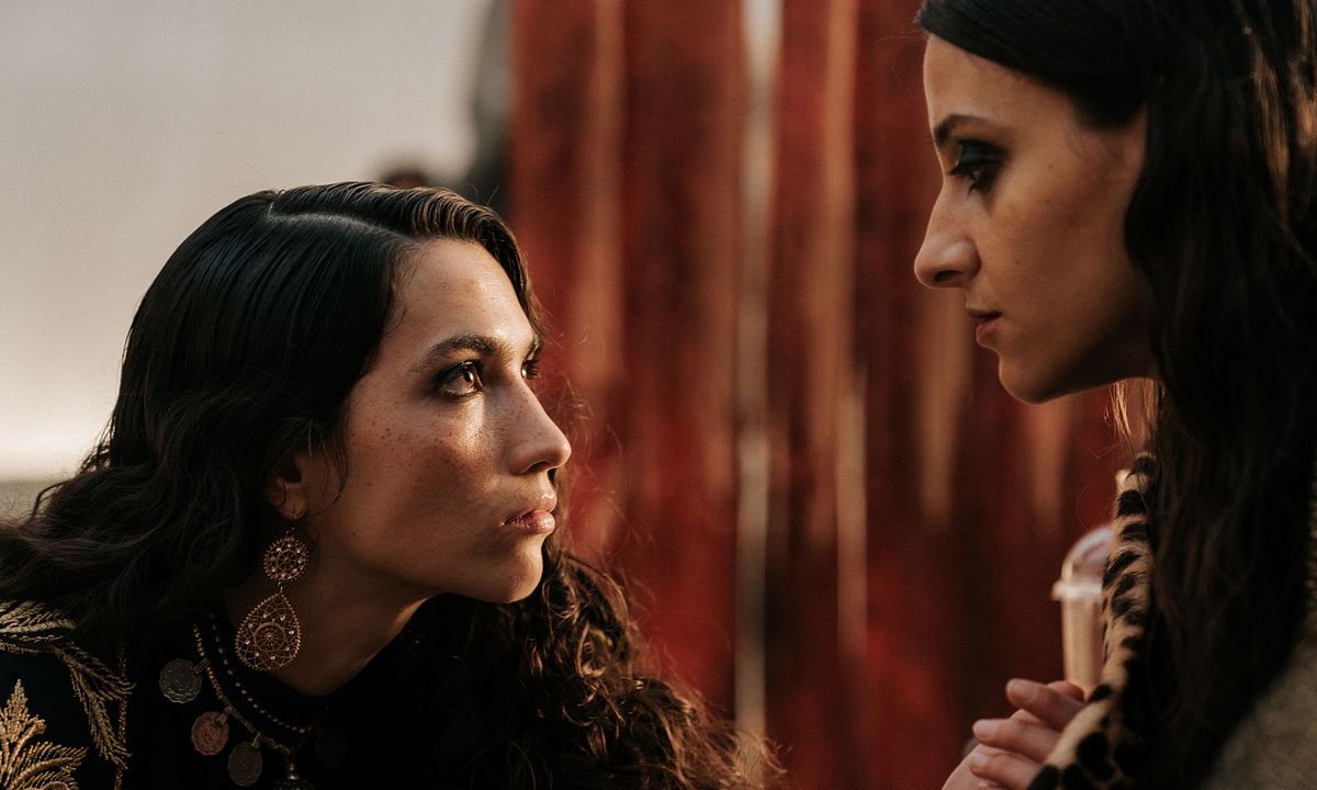 Kein Tier. So Wild. : Bild