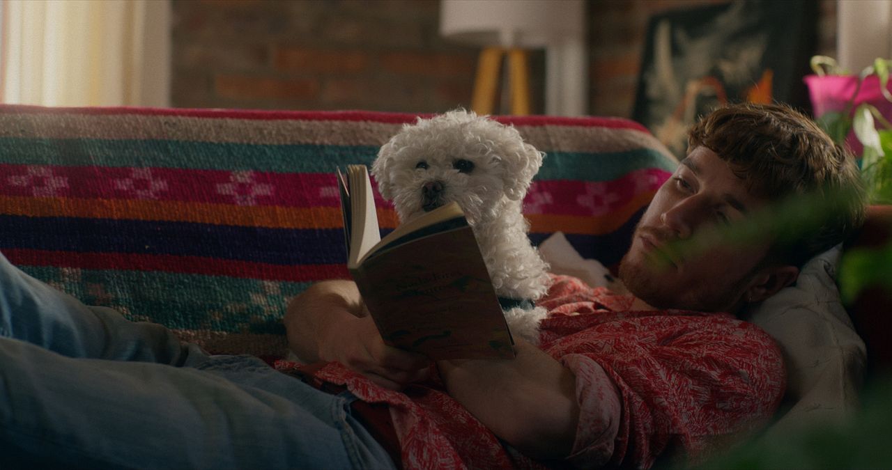 Was wir gemeinsam schufen  : Bild